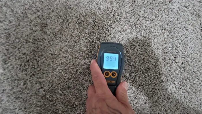 Rapid Restoration Team Picture 9