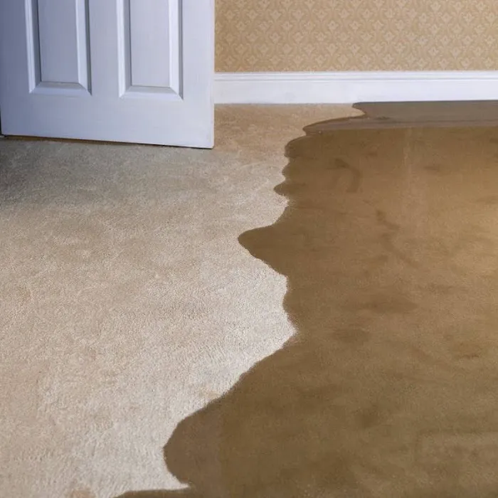 Rainbow International Picture 6