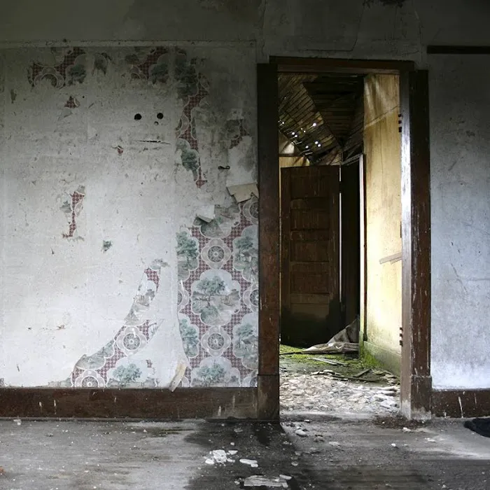 Rainbow International Picture 10