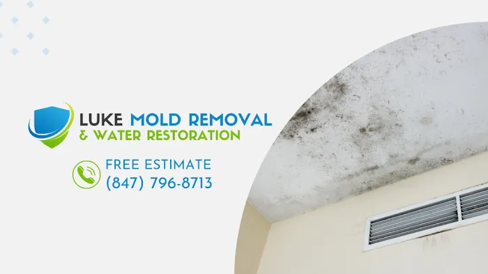 Luke Mold Removal & Water Restoration Picture 3