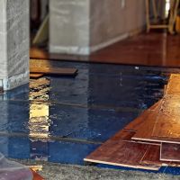 Luke Mold Removal & Water Restoration ico