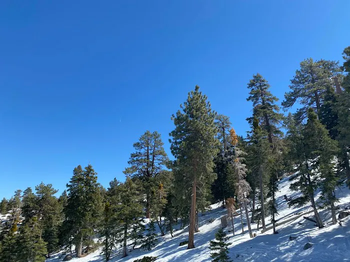 The Fire Restoration Team Picture 6