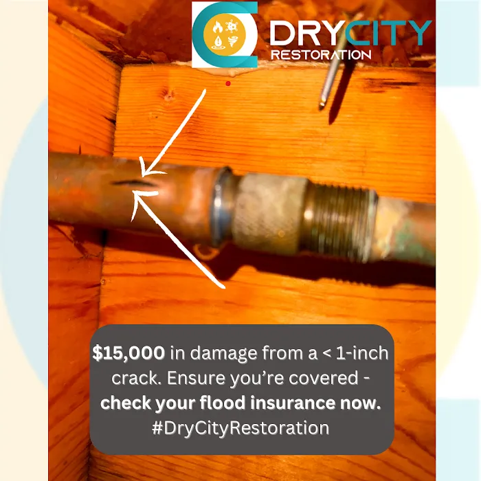 DryCity Picture 10