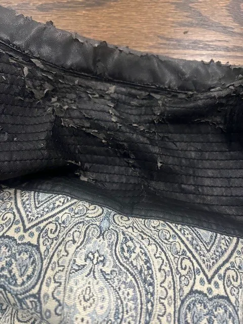 CRDN of Northern Illinois Picture 4