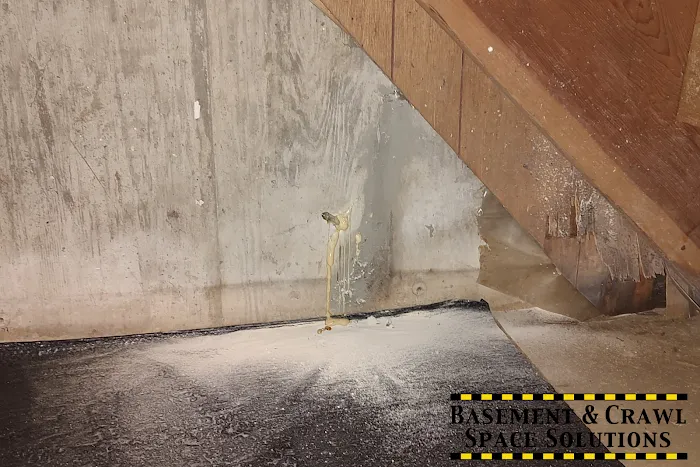 Basement and Crawl Space Solutions Picture 2