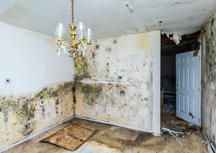 Big Country Clean Up Picture 9