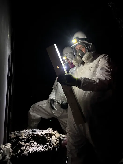 Big Country Clean Up Picture 7