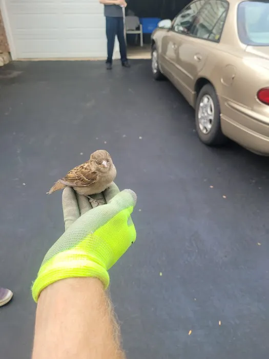 TKO Home Services Picture 1