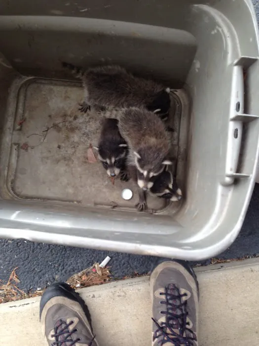 TKO Home Services Picture 7