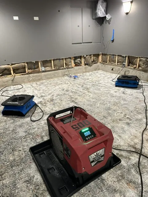 AEZ Restoration Inc. Picture 4