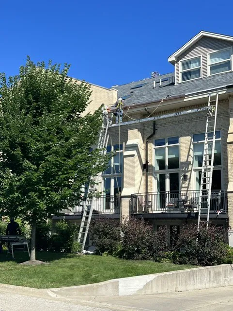 AEZ Restoration Inc. Picture 1