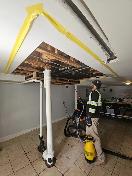 ServiceMaster of Buffalo Grove Picture 9