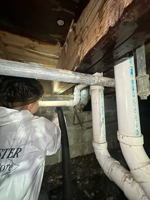 ServiceMaster of Buffalo Grove Picture 4