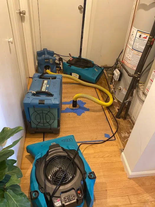 ServiceMaster of Buffalo Grove Picture 6