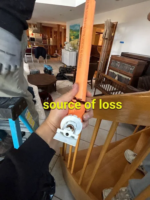 ServiceMaster of Buffalo Grove Picture 3