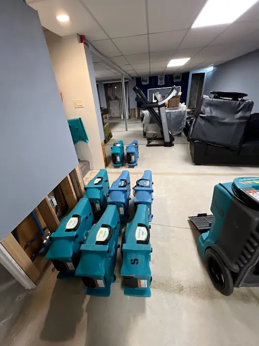 ServiceMaster of Buffalo Grove Picture 2