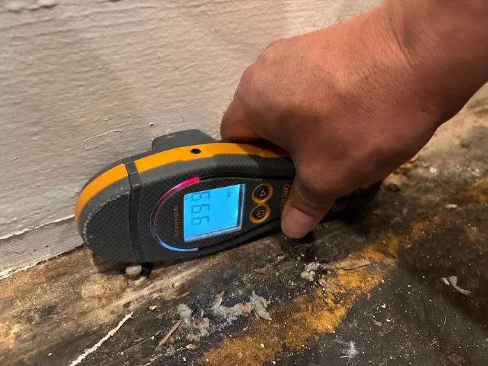 ServiceMaster of Buffalo Grove Picture 10