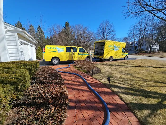 ServiceMaster of Buffalo Grove Picture 7