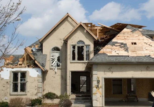 Signature Water and Fire Restoration Picture 1