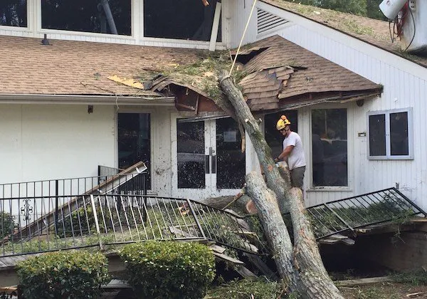 Signature Water and Fire Restoration Picture 4