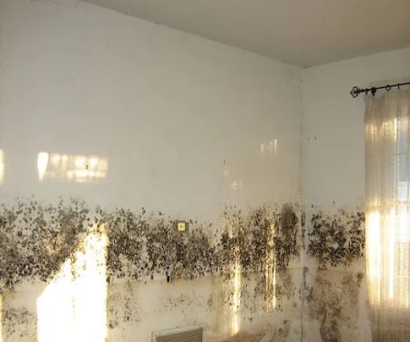 LBR Restoration Services