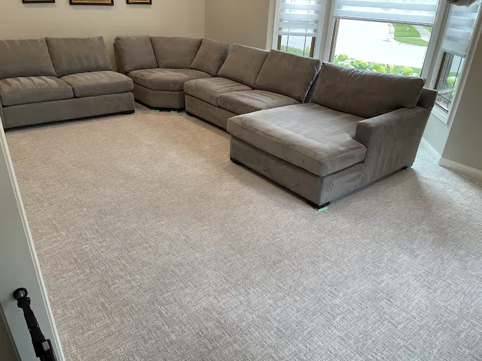 Stanley Steemer Picture 1