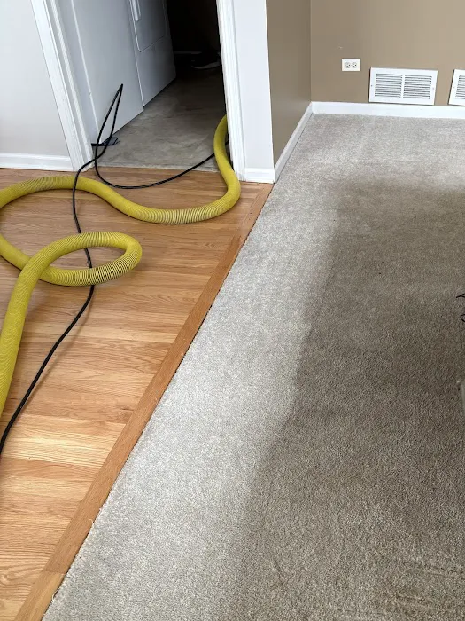 Stanley Steemer Picture 10