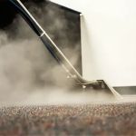Tanin Carpet Cleaning, Water Damage, Mold Removal Arlington Hts