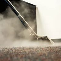 Tanin Carpet Cleaning, Water Damage, Mold Removal Arlington Hts ico