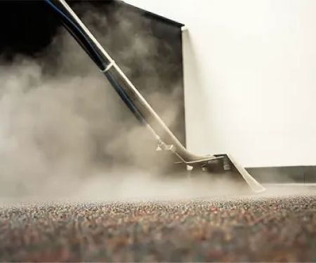 Tanin Carpet Cleaning, Water Damage, Mold Removal Arlington Hts