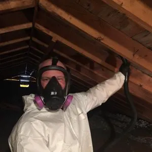 Tanin Carpet Cleaning, Water Damage, Mold Removal Arlington Hts Picture 3