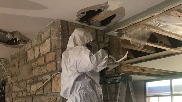 Tanin Carpet Cleaning, Water Damage, Mold Removal Arlington Hts Picture 4