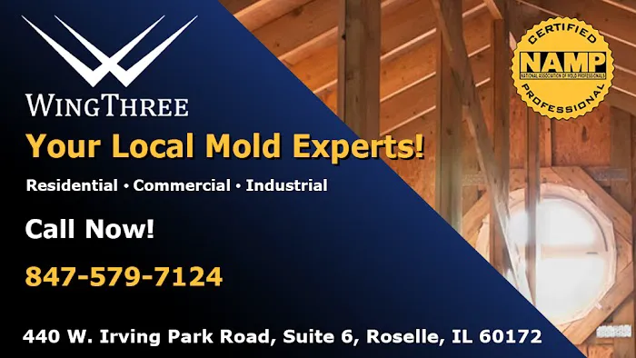 Wing Three Mold Removal Picture 1