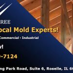 Wing Three Mold Removal