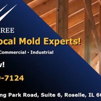 Wing Three Mold Removal ico