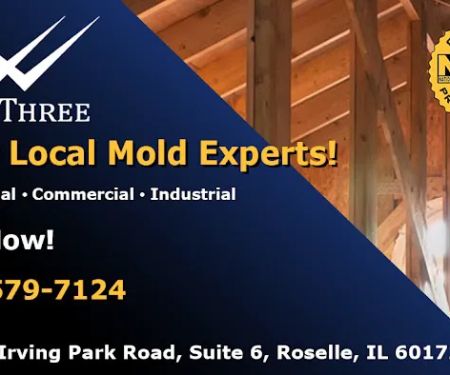 Wing Three Mold Removal