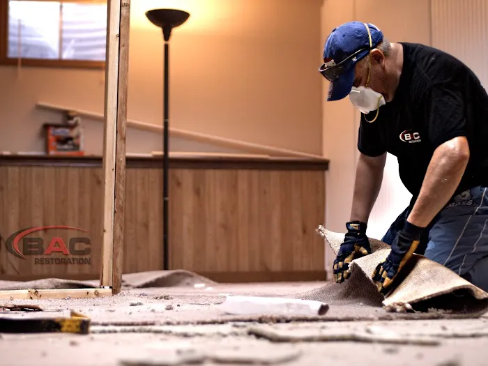 BAC Restoration Picture 9