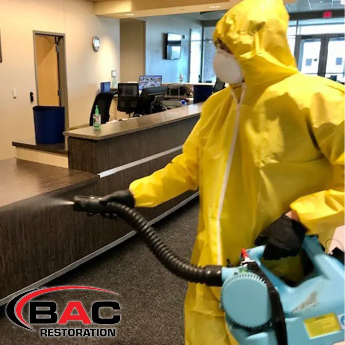 BAC Restoration Picture 5