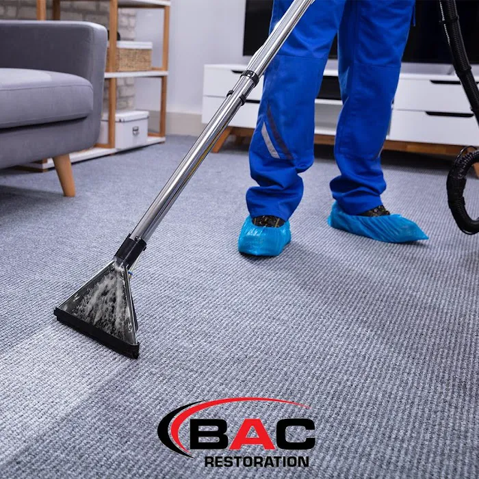 BAC Restoration Picture 4