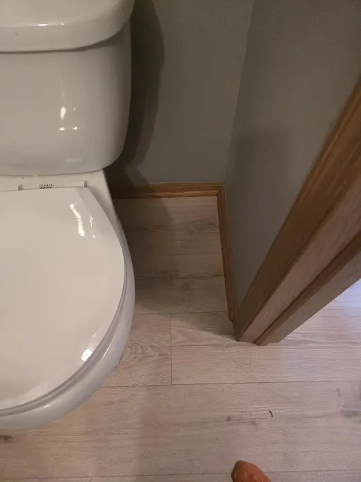 Radiance Restoration LLC Picture 1