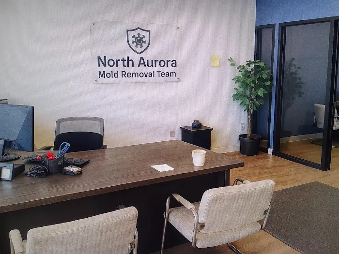 North Aurora Mold Removal Team Picture 1