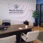 North Aurora Mold Removal Team