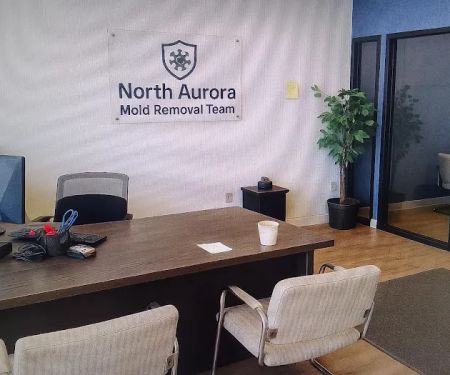 North Aurora Mold Removal Team