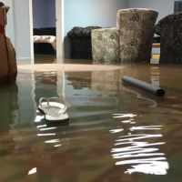 The Basement Cleanup Company ico