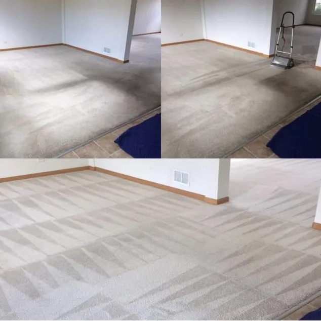 Streamwood Mold Remediation and Air Duct Cleaning Picture 5