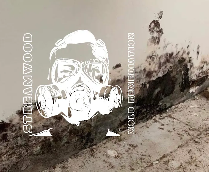 Streamwood Mold Remediation and Air Duct Cleaning Picture 2