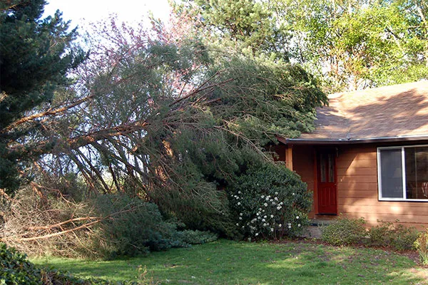 Firecon Construction Services Inc. Picture 10