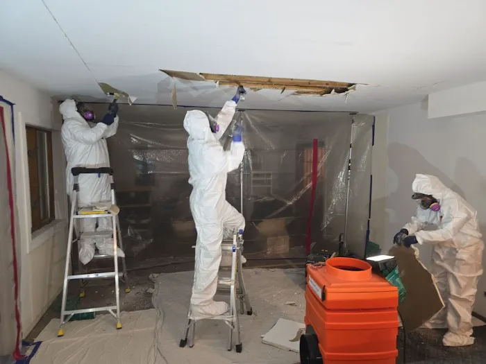 AdvantaClean Picture 10