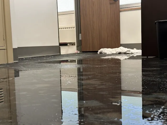 BlueRed Restoration LLC Picture 8