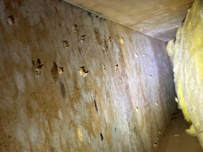 BlueRed Restoration LLC Picture 6